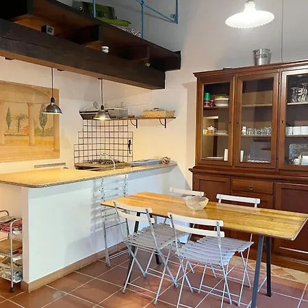 Il Gatto Di Monte Attu *