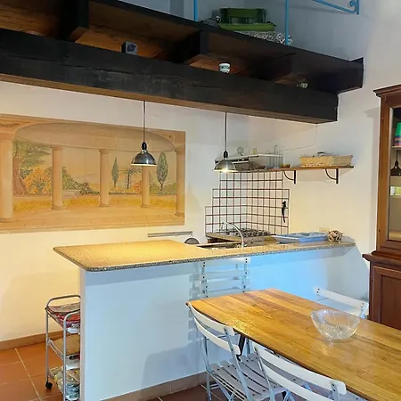 Il Gatto Di Monte Attu *