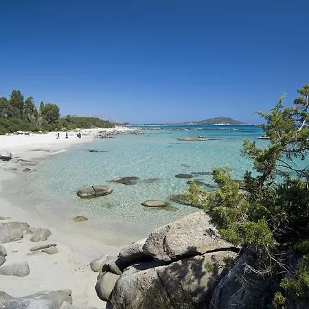 Il Gatto Di Monte Attu