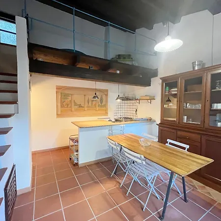 Il Gatto Di Monte Attu