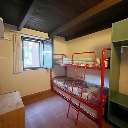 Il Gatto Di Monte Attu *