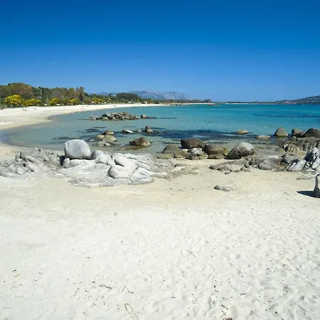 Il Gatto Di Monte Attu Tortolì