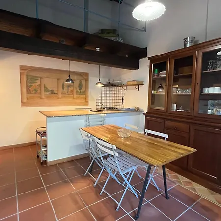 Tatil Evi Il Gatto Di Monte Attu