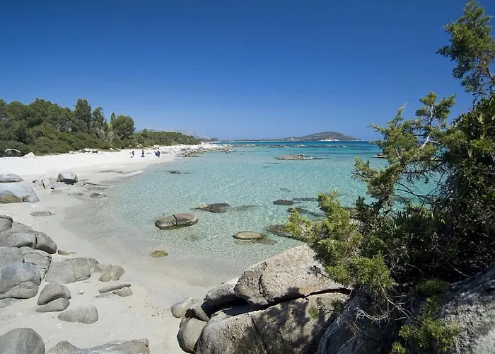 Il Gatto Di Monte Attu
