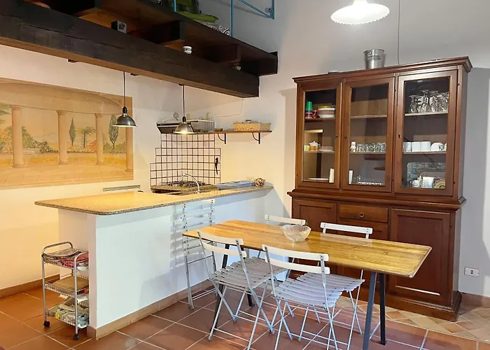 Il Gatto Di Monte Attu *