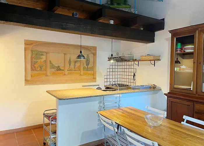 Il Gatto Di Monte Attu *