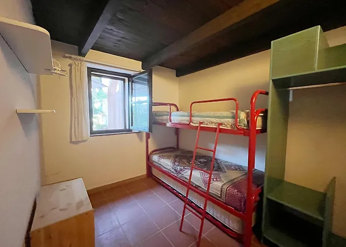 Il Gatto Di Monte Attu *