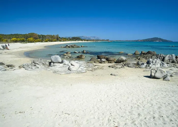 Il Gatto Di Monte Attu Tortolì